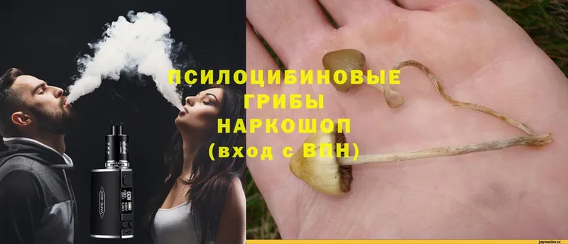 Галлюциногенные грибы Magic Shrooms  Нарьян-Мар 